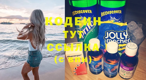 индика Балахна