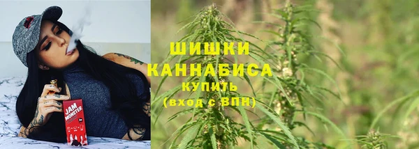 индика Балахна