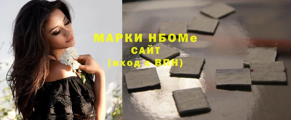 индика Балахна