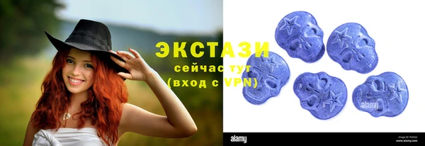 индика Балахна