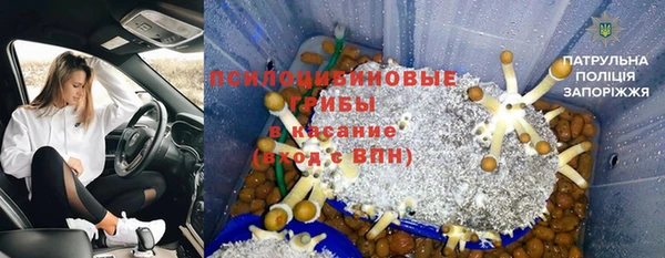 индика Балахна