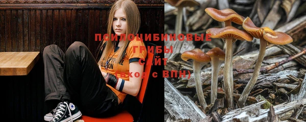 индика Балахна