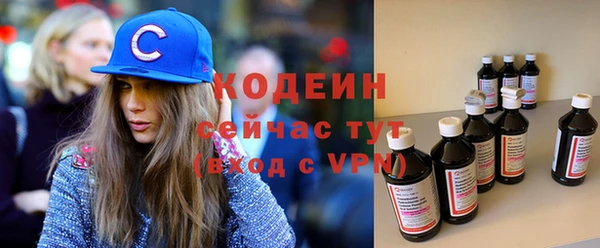 индика Балахна