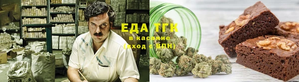 индика Балахна