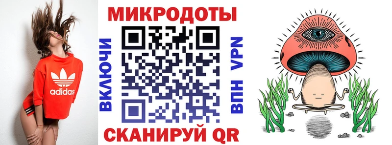 Купить где Питкяранта Псилоцибиновые грибы ЛСД